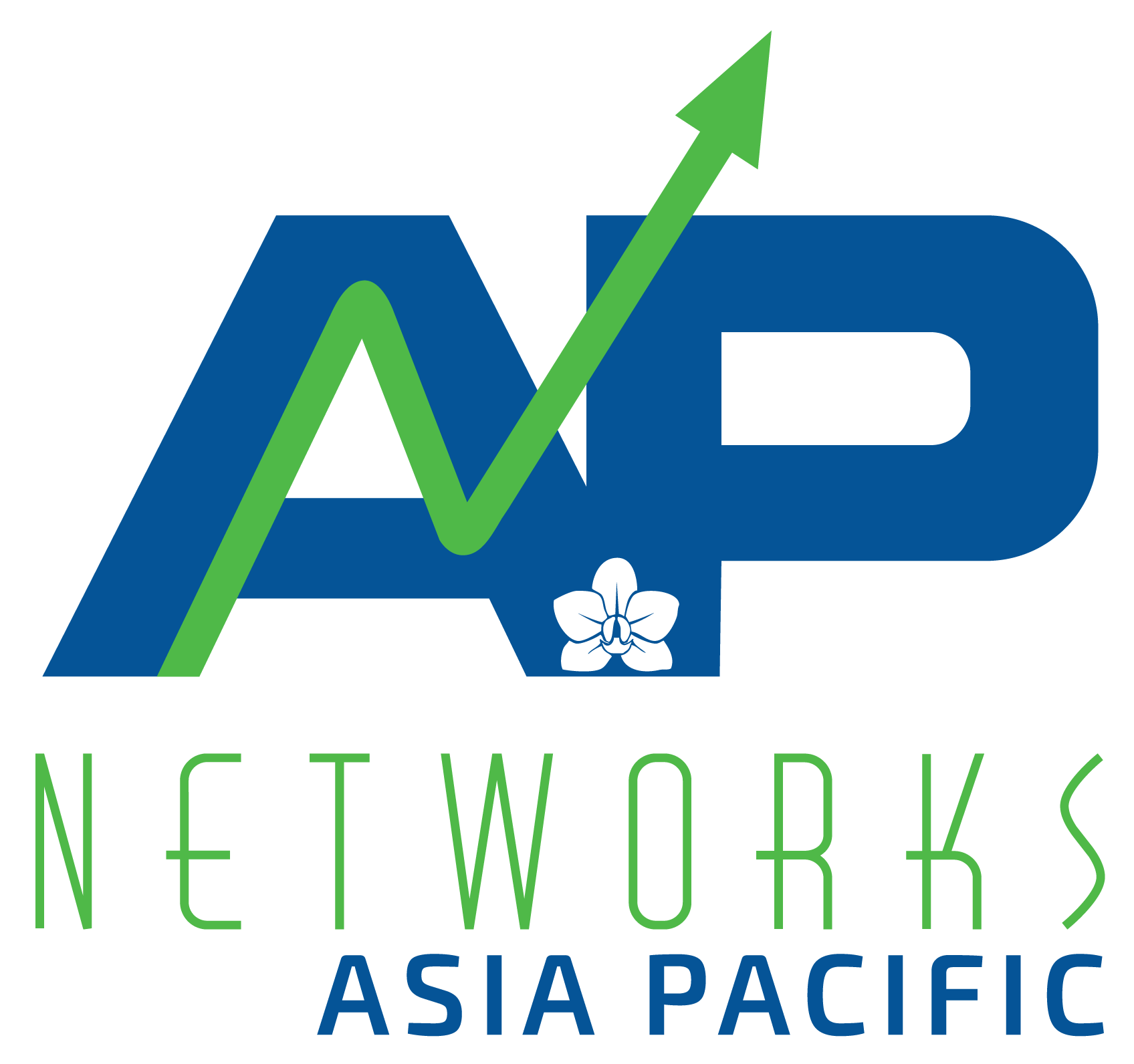 003a - AP-Networks, AP Logo